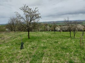 Pozemek s chatou - 8