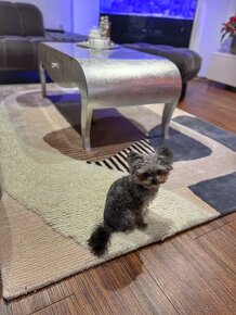 Luxusní, zámecký, konferenční stůl - 8