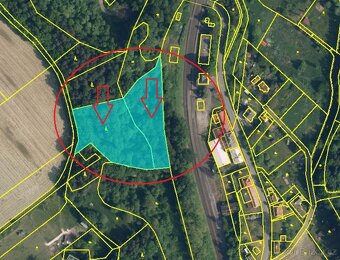 Prodej lesního pozemku v k.ú. Radimovice u Sychrova - 8