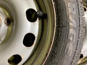 Zimni sada kol na ford street ka - 8