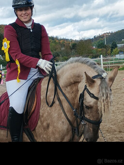 PRODÁM, NEBO PRONAJMU VYHRÁVAJÍCÍHO, ÚŽASNÉHO KONÍKA - 8