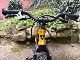 Kolo Rascal 16 Zlaté - 8