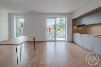 Pronájem bytu 2+kk s balkonem v novostavbě v Bravanticích - 8