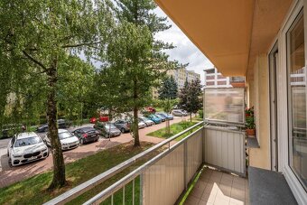 Prodej bytu 2+1, ulice Kostelní, České Budějovice - 8
