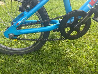 Kolo Ridgback MX 16 - 8