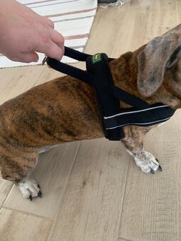 Postroj na psa Hunter - 8