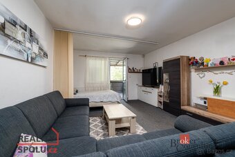 Prodej, domy/rodinný, 303 m2, Potoční 18, 33101 Plasy, Plzeň - 8