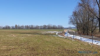 Louka 17.068 m2, Police nad Metují - Radešov - 8