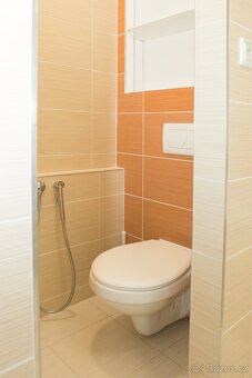 Byt 2kk,47m2+sklepni koje 2m2 - 8