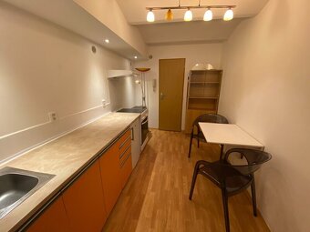 Pronájem byt 1+1, 43m2, historické centrum, České Budějovice - 8