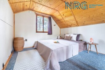 Prodej rekreační nemovitosti, pozemky 9851 m2, Kralovice - 8