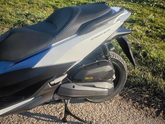 Honda Forza 125cm r.v 2015 - 8