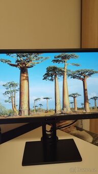 Profesionální monitor BenQ BL2420PT, QHD 2560x1440 pixelů, 2 - 8