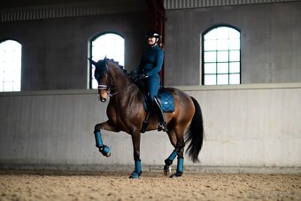 Podsedlova decka Equestrian Stockholm Blue Meadow - 8