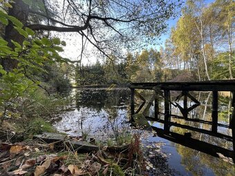 Prodej rybníku s pozemky, Klení, Benešov nad Černou - 8