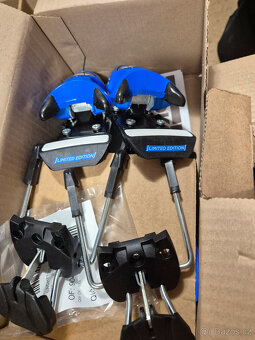 Dynastar Speed Omeglass WC Fis SL - 8