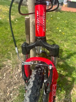 Kolo Author Junior 24 - přehazovačka Shimano - servisováno - 8
