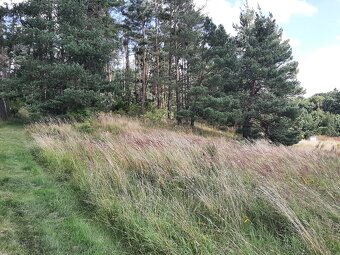 Stavební pozemek 1365m2 u přehrady Orlík - 8