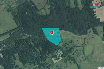 Prodej lesa, 845297 m², Kněždub - 8