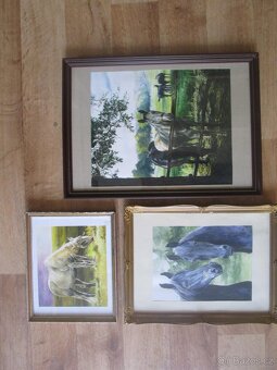 koně-ručně malované obrazy-olejomalba-akvarel - 8