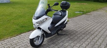 SUZUKI BURGMAN 125 - 8