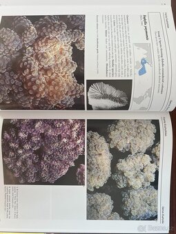 Corals of the World - J.E.N. Veron - sada knih (jako nové) - 8