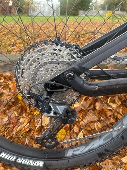 CANYON TORQUE 2021 - 8