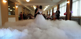 Dj a zpěvačka na svatbu - 8