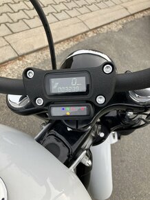 Harley Davidson Street Bob 114 2021 - 8