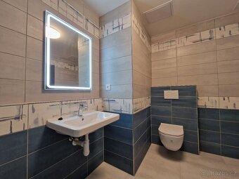 Pronájem bytu 2+kk 52 m², U Borských kasáren - Bory - 8