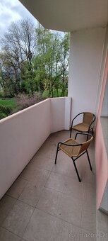 Prodám byt 3+1 ve Velkých Losinách - 8