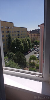 podnájem pro dva (jednoho) - 8