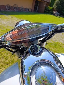 Yamaha Royal Star 1300 - 8