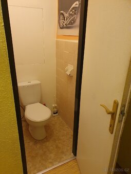 Pronájem bytu 1+1 v Mladé Boleslavi - 8