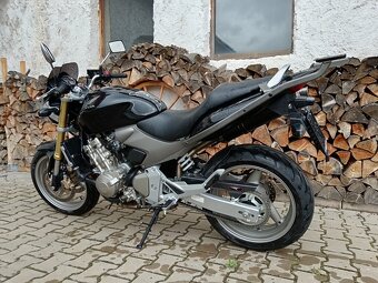 HONDA CB 600 F HORNET - 8
