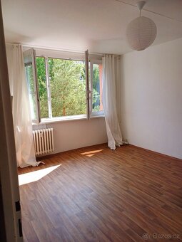 Pronájem garsonky bez provize - 8