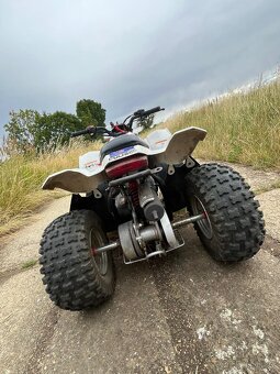 Polaris Predátor 50ccm - 8