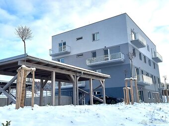 Moderní 2+kk s balkonem v novostavbě, Letohrad - 8