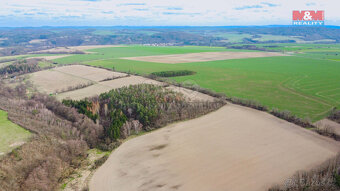 Prodej lesa, 7378 m², Bojanovice - 8