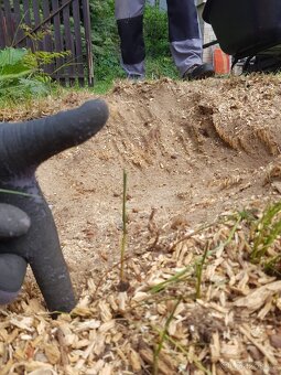 Frézování pařezů - 8