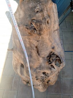 Topolové skořepiny - 8