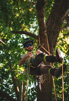 Arboristické služby – kácení, prořez, údržba stromů - 8