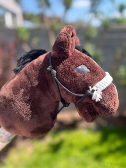 Hobby horse - 8