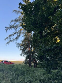 Prodám lesní pozemky v k.ú. Vlašim - 8