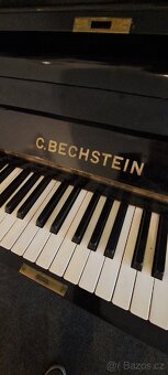 C.BECHSTEIN - 8
