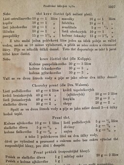 Bylinkářství 1900? Kniha o domacím léčení velmi používaná. - 8