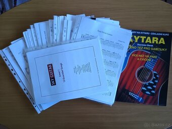 Prodám ORTEGA R55BFT - 8