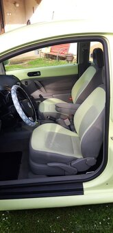 New Beetle - 8