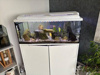 Kvarium komplet se vším - 8