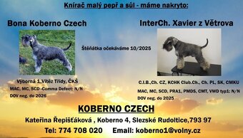 Knírač malý pepř a sůl s PP - 8